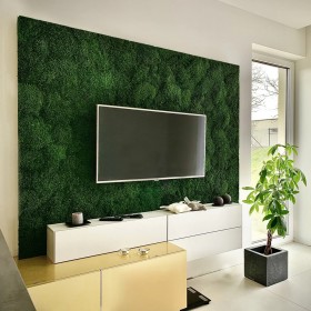 Mur végétal stabilisé derrière un téléviseur dans un salon