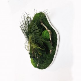 tableau vegetal forme organique