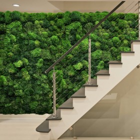 Mur végétal stabilisé Provence installé sous un escalier intérieur