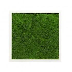 Décoration murale végétale épurée carrée Blushing Lady avec cadre bois blanc.