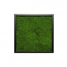 Cadre végétal carré moderne avec encadrement noir et tapis de mousse stabilisée verte.