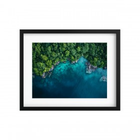 Tableau végétal stabilisé GREEN ISLAND COSTA RICA — plantes naturelles sur photo de paysage — collection voyage — Deco-Vegetale