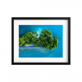 Tableau végétal stabilisé GREEN ISLAND MARTINIQUE — plantes naturelles sur photo de paysage — collection voyage — Deco-Vegetale