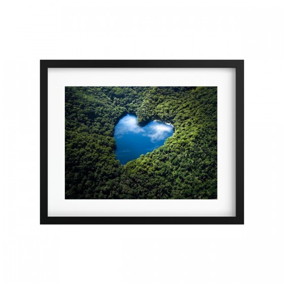 Tableau végétal stabilisé GREEN ISLAND JAPON — plantes naturelles sur photo de paysage — collection voyage — Deco-Vegetale