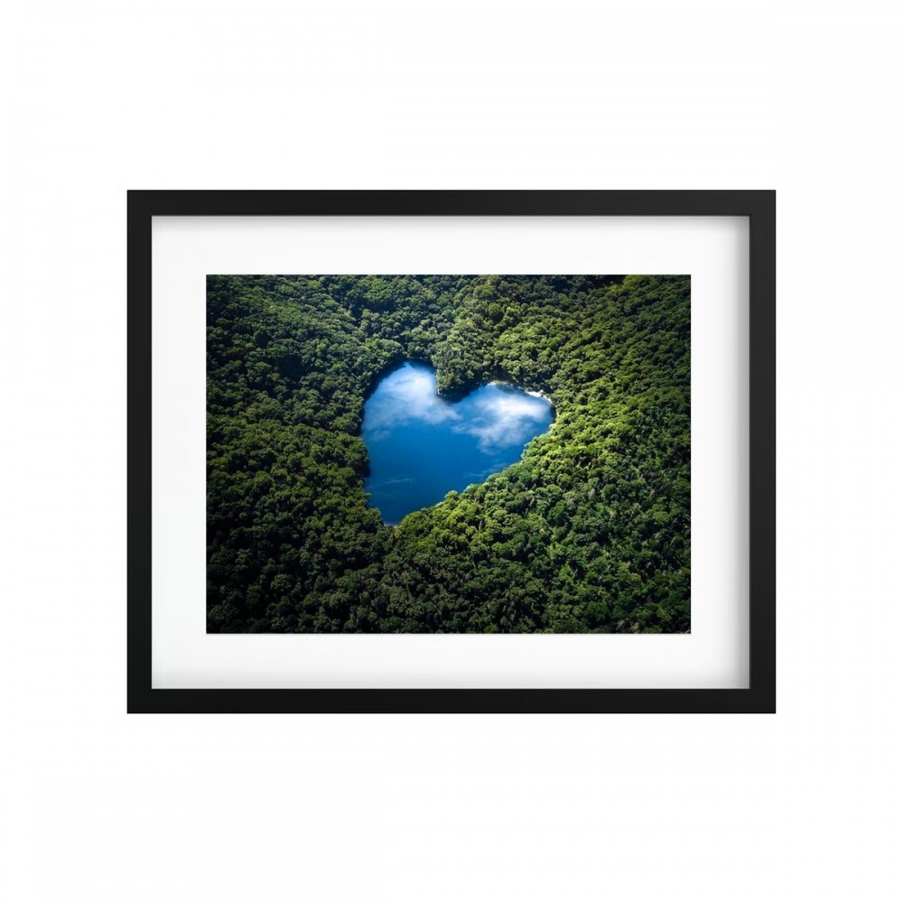 Tableau végétal stabilisé GREEN ISLAND JAPON — plantes naturelles sur photo de paysage — collection voyage — Deco-Vegetale