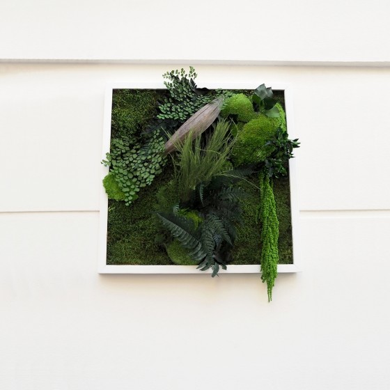 Tableau végétal stabilisé NEW SANTA - plantes naturelles stabilisées - décoration murale - Deco-Vegetale