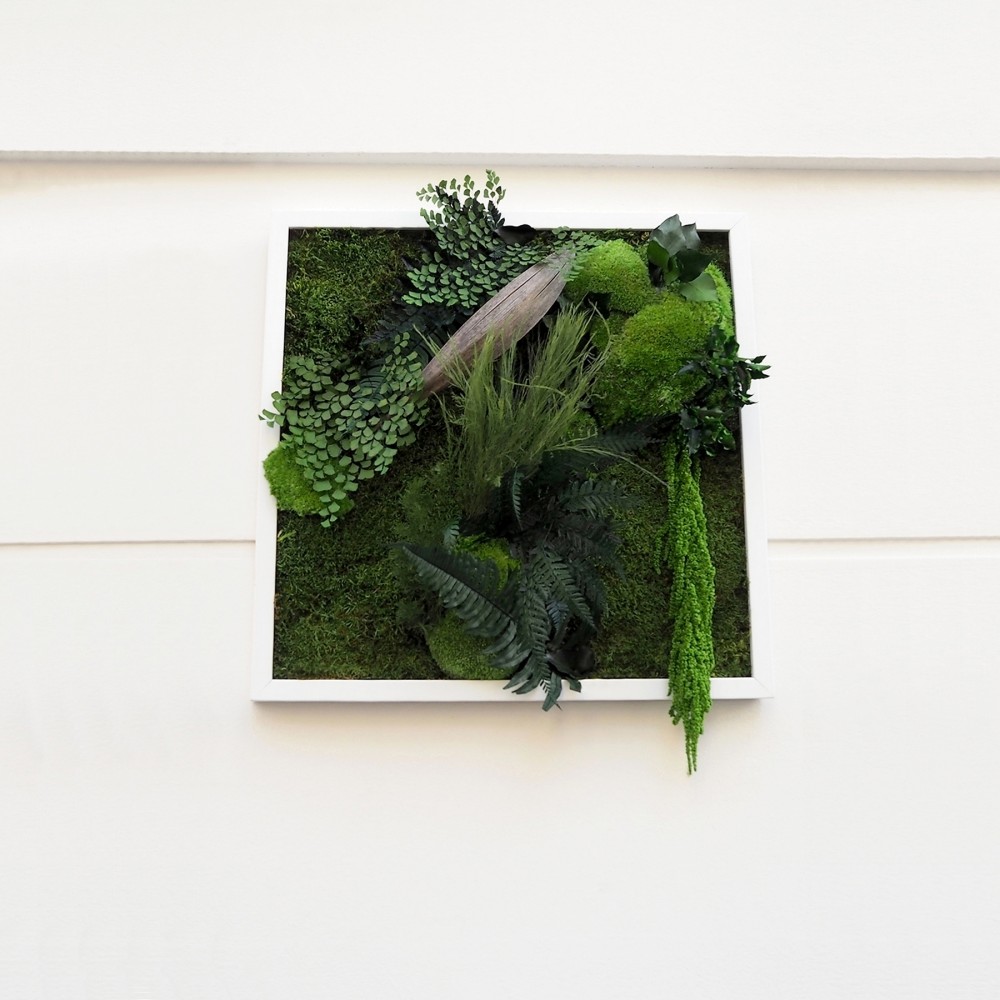 Tableau végétal stabilisé NEW SANTA - plantes naturelles stabilisées - décoration murale - Deco-Vegetale