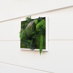 Tableau végétal stabilisé NEW SANTA - format carré vue de profil en plantes naturelles stabilisées - décoration murale