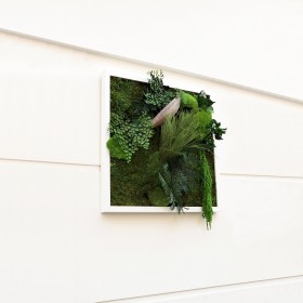 vue de profil Tableau végétal stabilisé NEW SANTA . decoration murale de plantes préservées