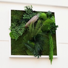 gros plan du tableau vegetal carré avec cosse de palmier et feuillage tombant
