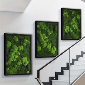 Composition de tableaux végétaux stabilisés dans une cage d’escalier
