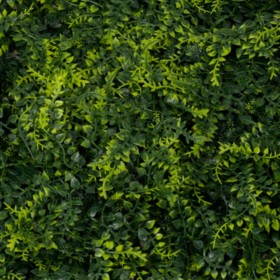 Panneau mur végétal fougères vertes – décoration murale semi-naturelle Deco-Vegetale