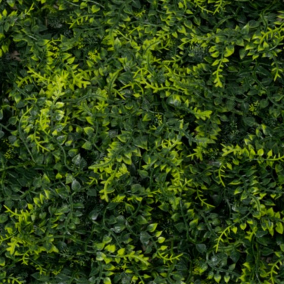 Panneau mur végétal fougères vertes – décoration murale semi-naturelle Deco-Vegetale