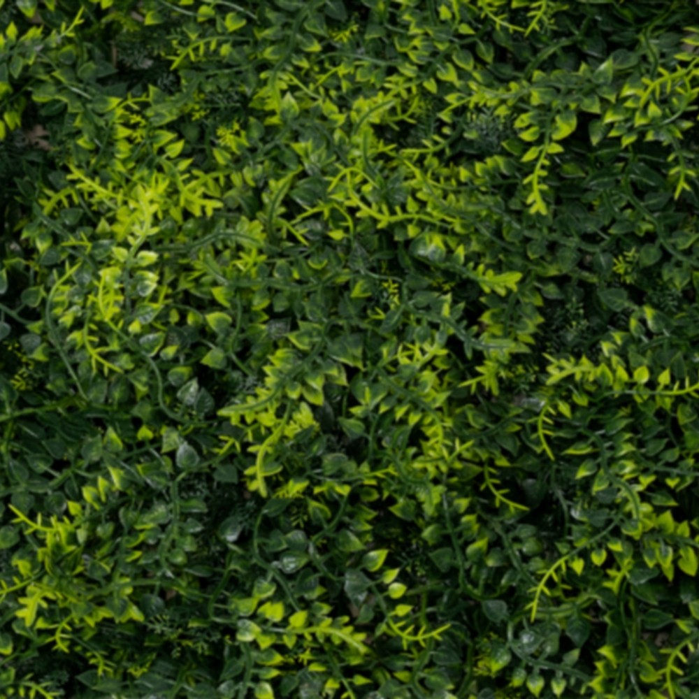 Panneau mur végétal fougères vertes – décoration murale semi-naturelle Deco-Vegetale