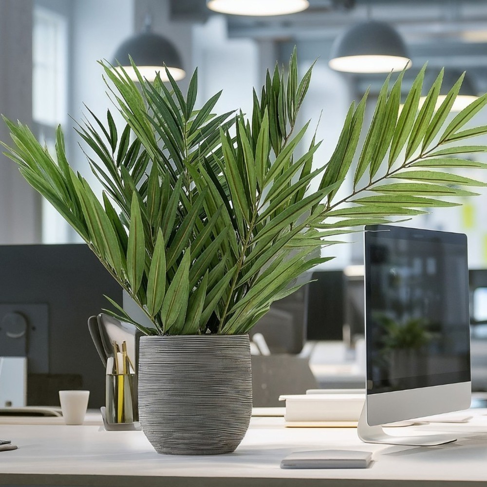 Plante palmier chamaerops en pot – feuilles palmées vertes décoration intérieur Deco-Vegetale