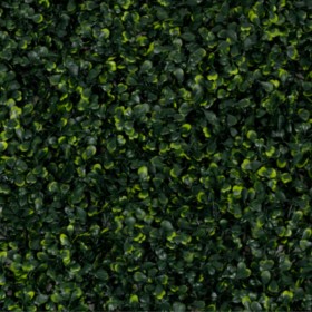 Panneau mur végétal buis vert dense – décoration murale intérieur Deco-Vegetale