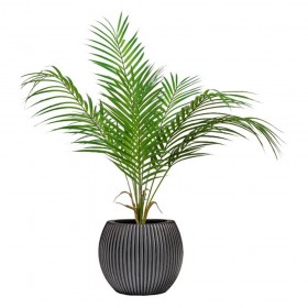 Plante areca palmier en pot – feuilles vertes aériennes décoration Deco-Vegetale