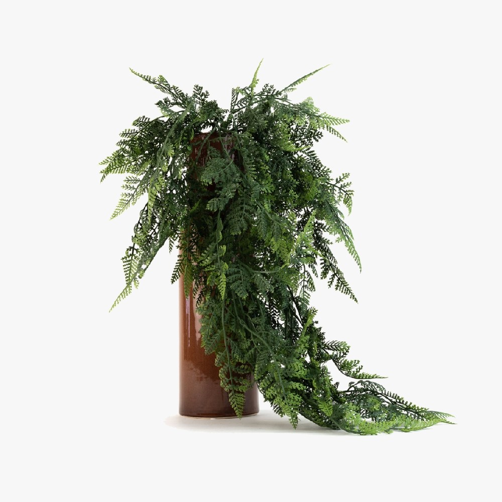 Plante chute de fougères retombante – frondes vertes décoration naturelle Deco-Vegetale