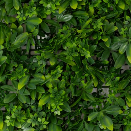 Panneau mur végétal multi-feuillages – composition végétale mixte Deco-Vegetale