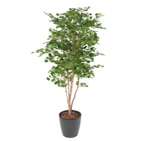 Arbre artificiel ginkgo biloba en pot avec tronc en bois naturel
