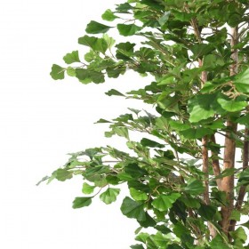 Feuilles en forme d'éventail de ginkgo artificiel haut de gamme