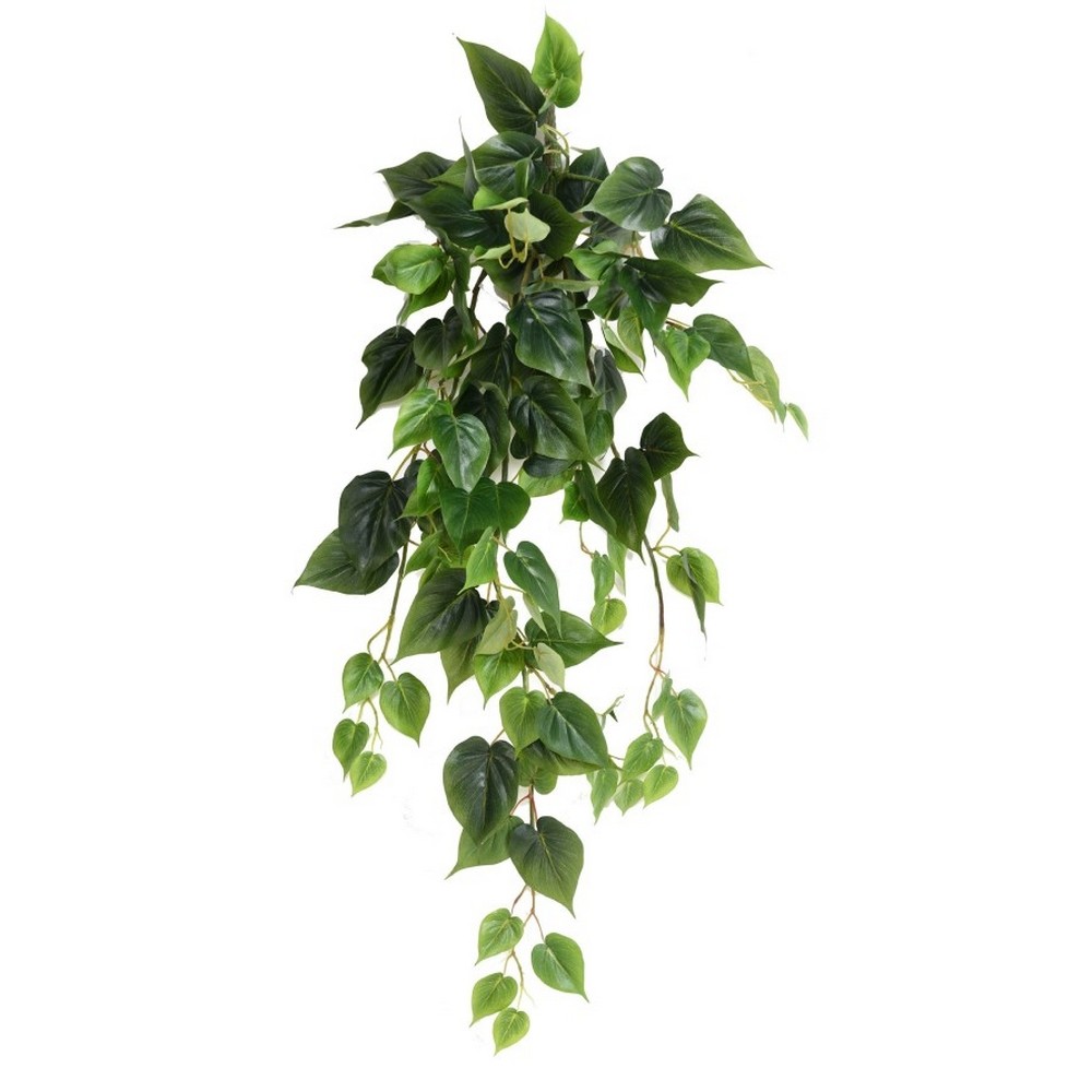Plante chute de pothos retombante – feuilles vertes marbrées décoration Deco-Vegetale