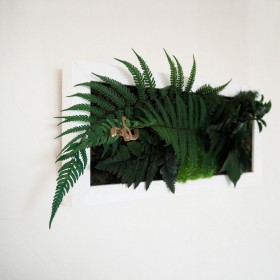 Tableau vegetal cadre blanc horizontal avec grand feuillage de fougere et mousse