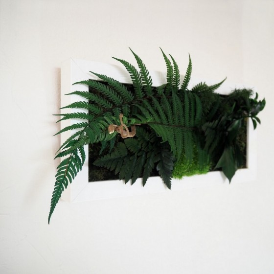 Tableau vegetal cadre blanc horizontal avec grand feuillage de fougere et mousse