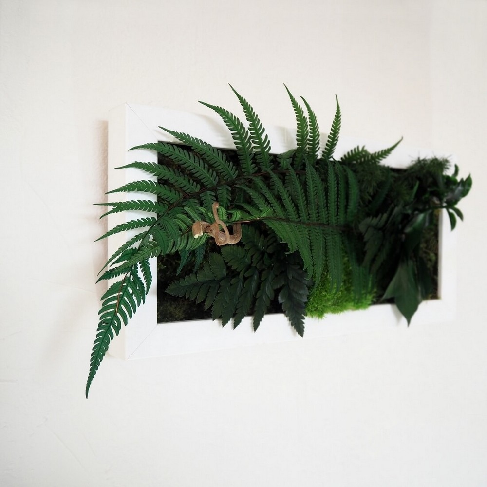 Tableau vegetal cadre blanc horizontal avec grand feuillage de fougere et mousse