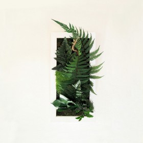 Composition vegetale cadre blanc vertical en plantes et fougeres stabilisees
