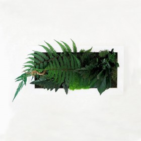 Cadre mural vegetal rectangulaire blanc deco d'interieur mousse et fougere