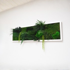 Tableau végétal stabilisé SERANO mousses et végétaux naturels stabilisés pour la decoration murale