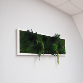 Tableau végétal Serano avec relief organique en plantes stabilisées