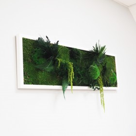 Détail des mousses et végétaux stabilisés du tableau Serano