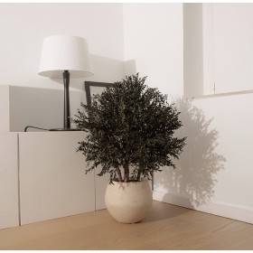 Arbuste stabilisé PARVIFOLIA - plante naturelle stabilisée - décoration intérieure élégante - Deco-Vegetale