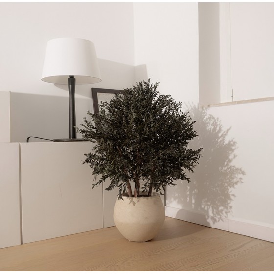 Arbuste stabilisé PARVIFOLIA - plante naturelle stabilisée - décoration intérieure élégante - Deco-Vegetale