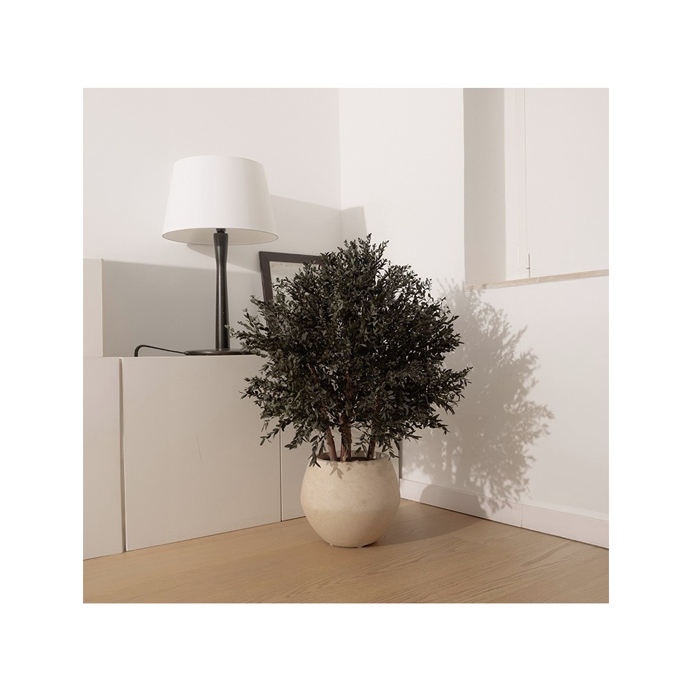 Arbuste stabilisé PARVIFOLIA - plante naturelle stabilisée - décoration intérieure élégante - Deco-Vegetale