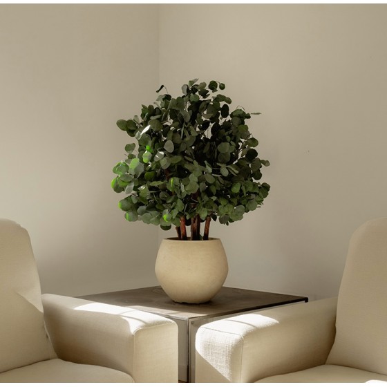 Arbuste stabilisé POPULUS - feuillage naturel stabilisé - décoration intérieure sans entretien - Deco-Vegetale