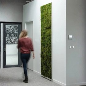 Mur végétal stabilisé vertical dans un couloir d'entreprise