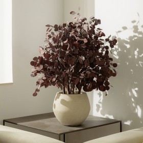 Arbuste stabilisé POPULUS Rouge - feuillage rouge naturel stabilisé - décoration intérieure - Deco-Vegetale