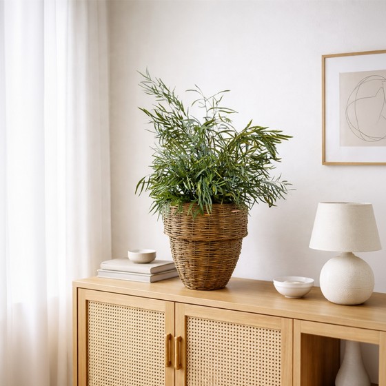 Plante stabilisée en pot eucalyptus nicoly - zéro entretien - décoration intérieure - Deco-Vegetale