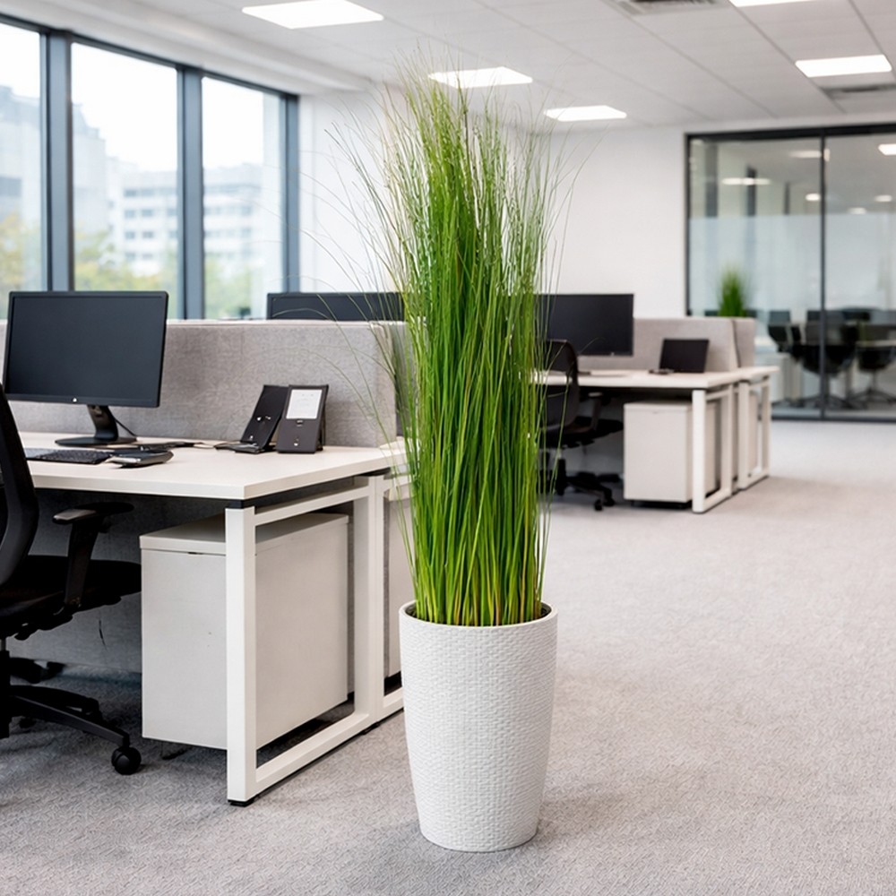 Plante stabilisée en pot gynerium - plante naturelle stabilisée - décoration intérieure - Deco-Vegetale