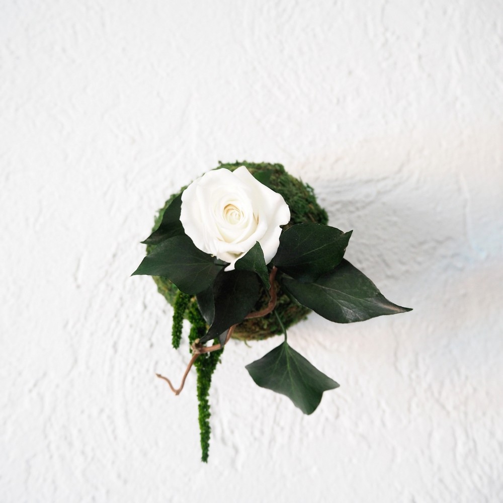Composition Florale Stabilisée Kokedama Tenju-an Création Originale de Déco Végétale