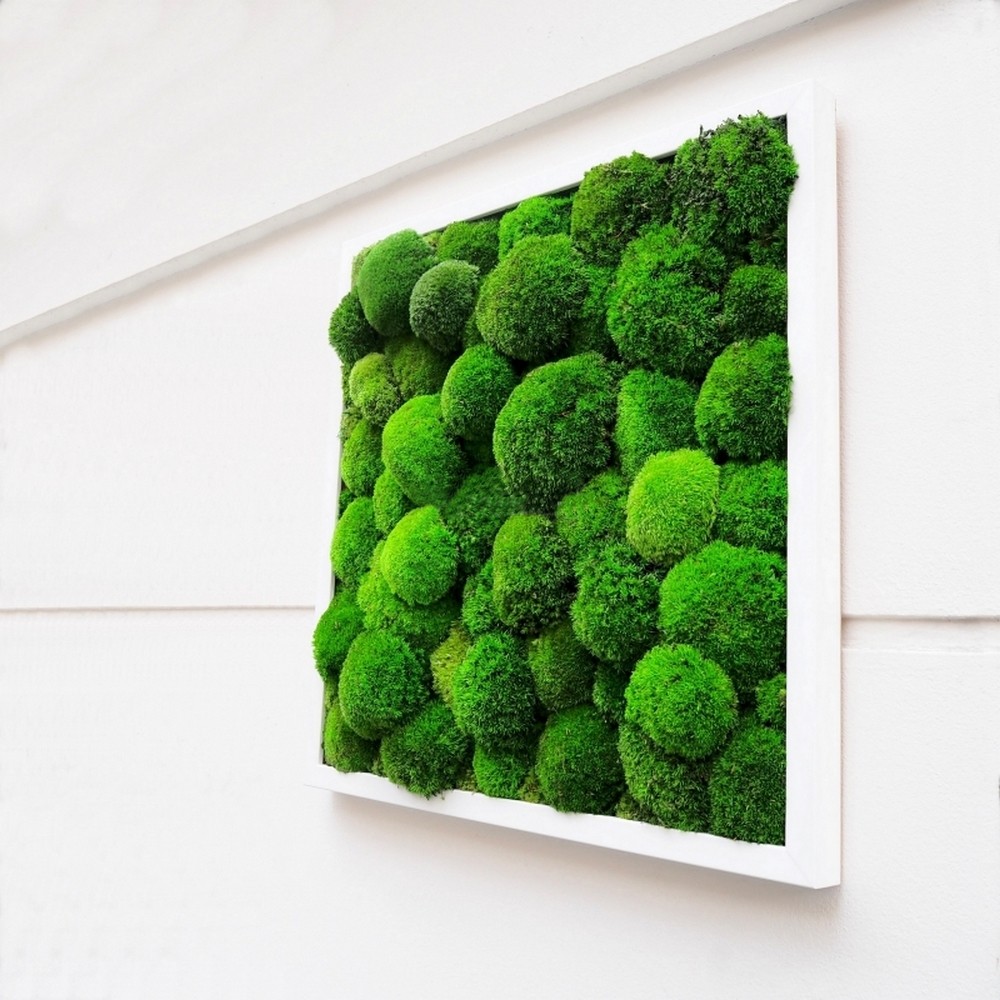 Tableau végétal stabilisé GREEN STAR  composition végétale de mousse naturelle stabilisée