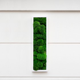 Tableau végétal Green Star en mousses boules stabilisées vertes