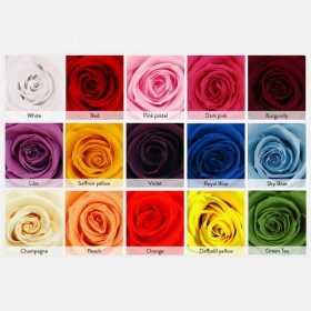 Couleurs disponibles pour les roses éternelles stabilisées
