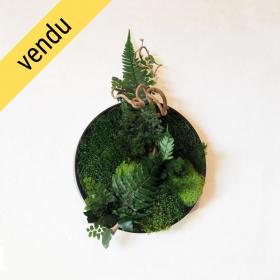 Rond végétal stabilisé WHISTSUNDAY ISLAND — composition ronde végétaux naturels