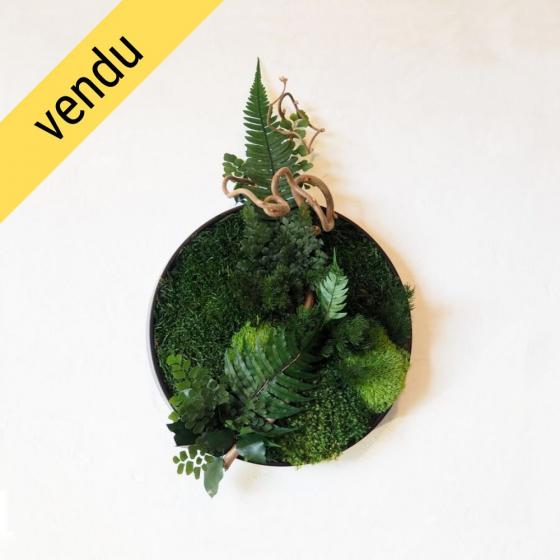 Rond végétal stabilisé WHISTSUNDAY ISLAND — composition ronde végétaux naturels