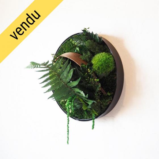 Rond végétal stabilisé ROTTNEST ISLAND cadre rond en plantes stabilisées sans entretien