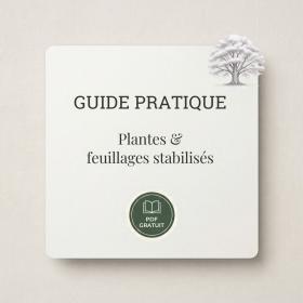 Guide des plantes et bouquets stabilisés